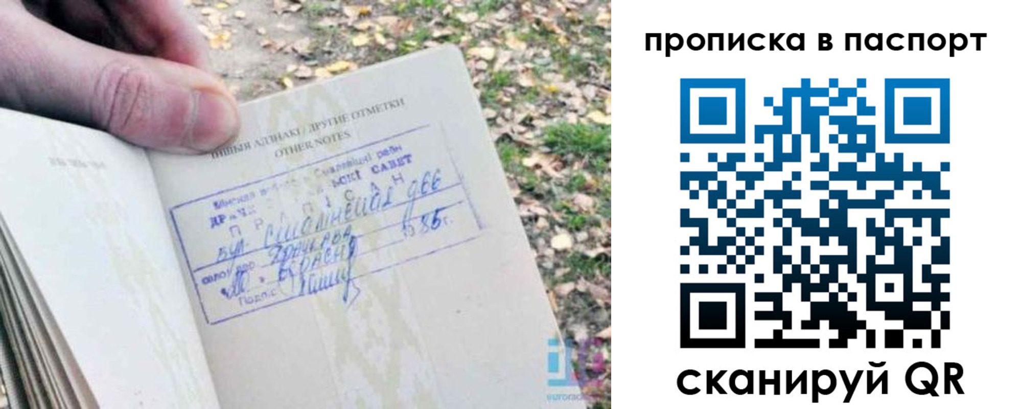 купить прописку в Грязовце